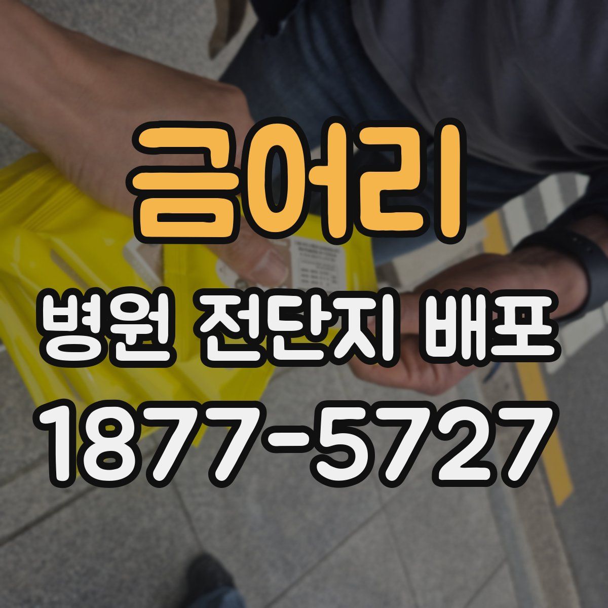 금어리 병원 전단지 배포