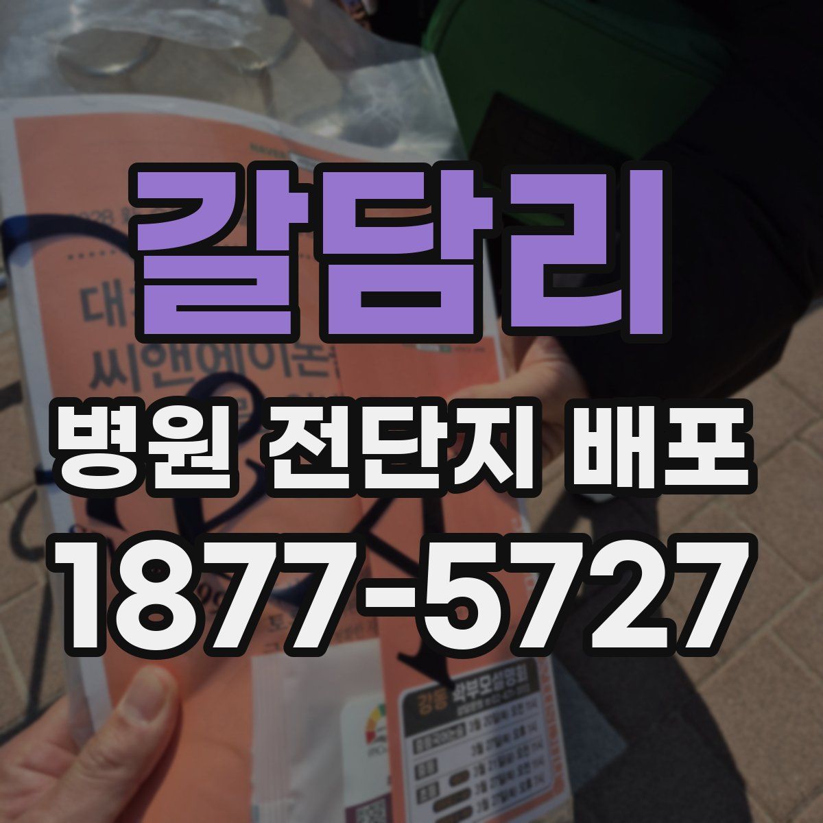 갈담리 병원 전단지 배포