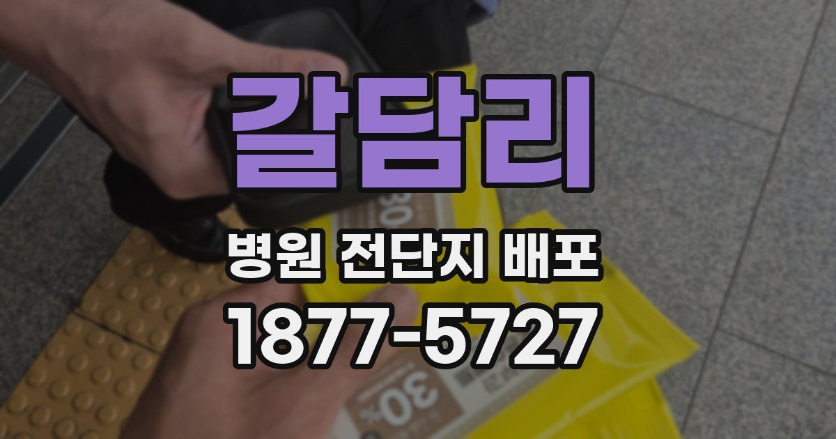 갈담리 병원 전단지 배포
