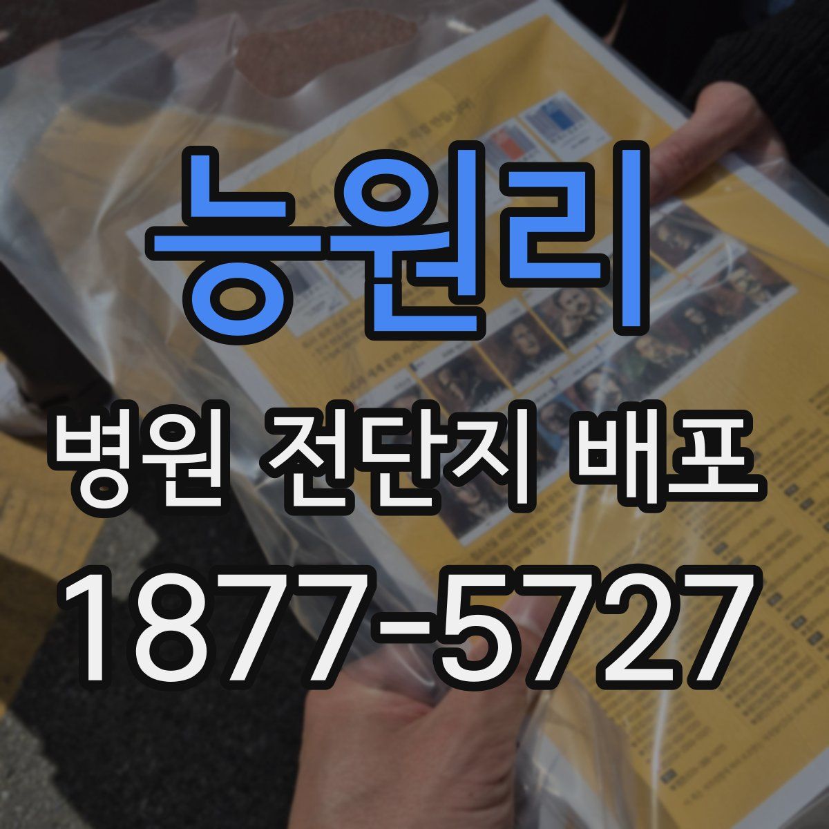 능원리 병원 전단지 배포