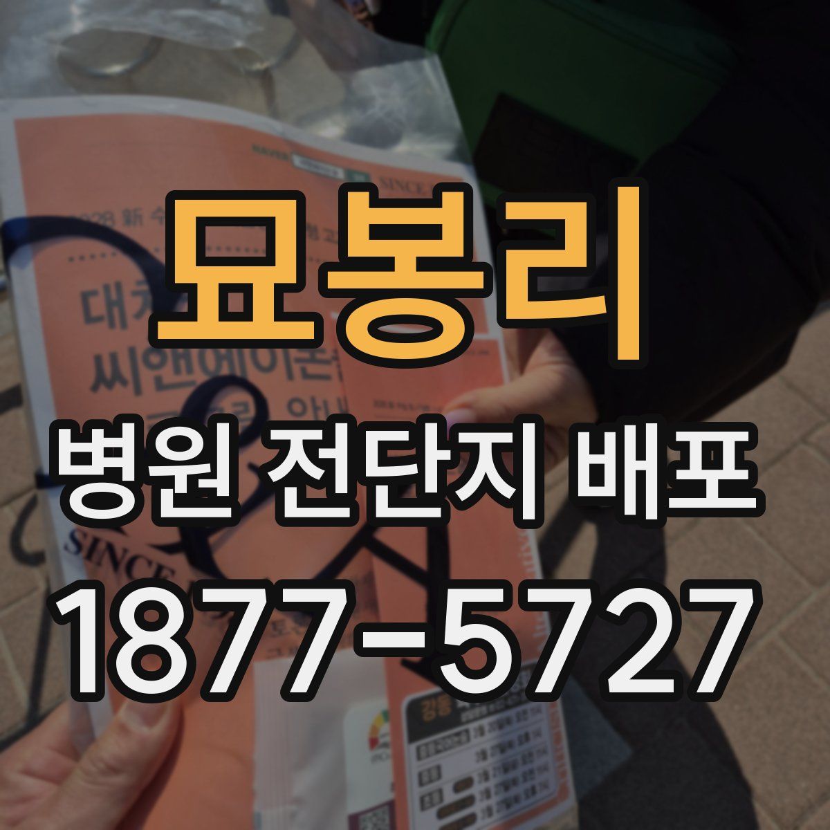 묘봉리 병원 전단지 배포