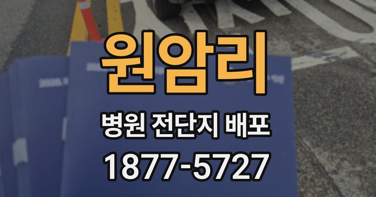 원암리 병원 전단지 배포