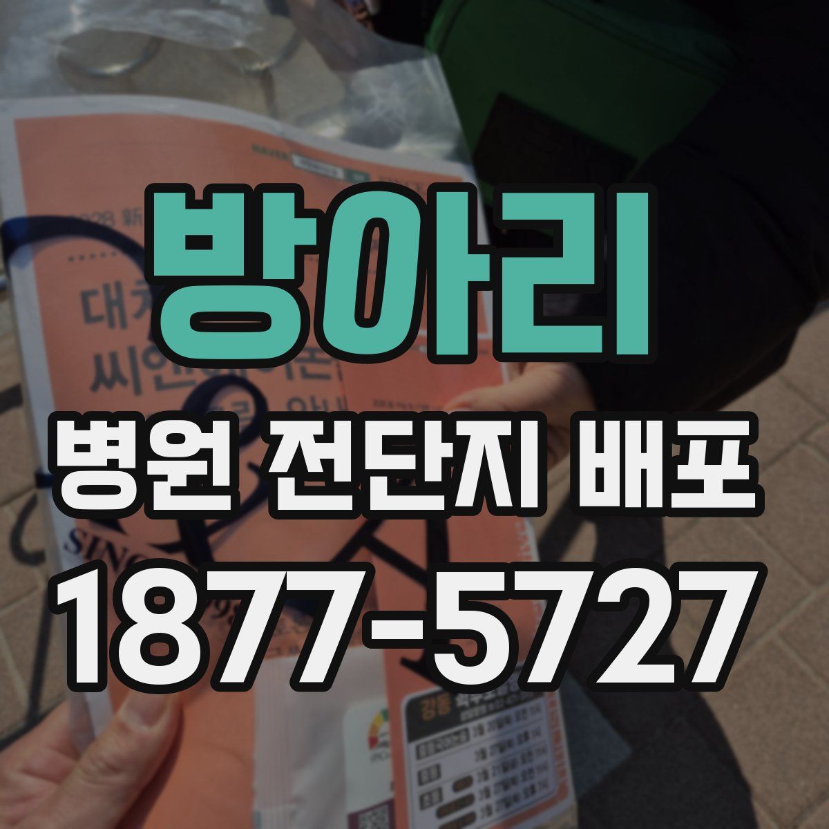 방아리 병원 전단지 배포