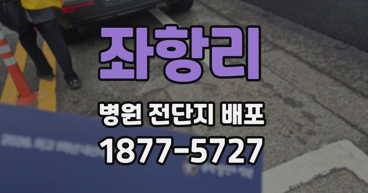 좌항리 병원 전단지 배포