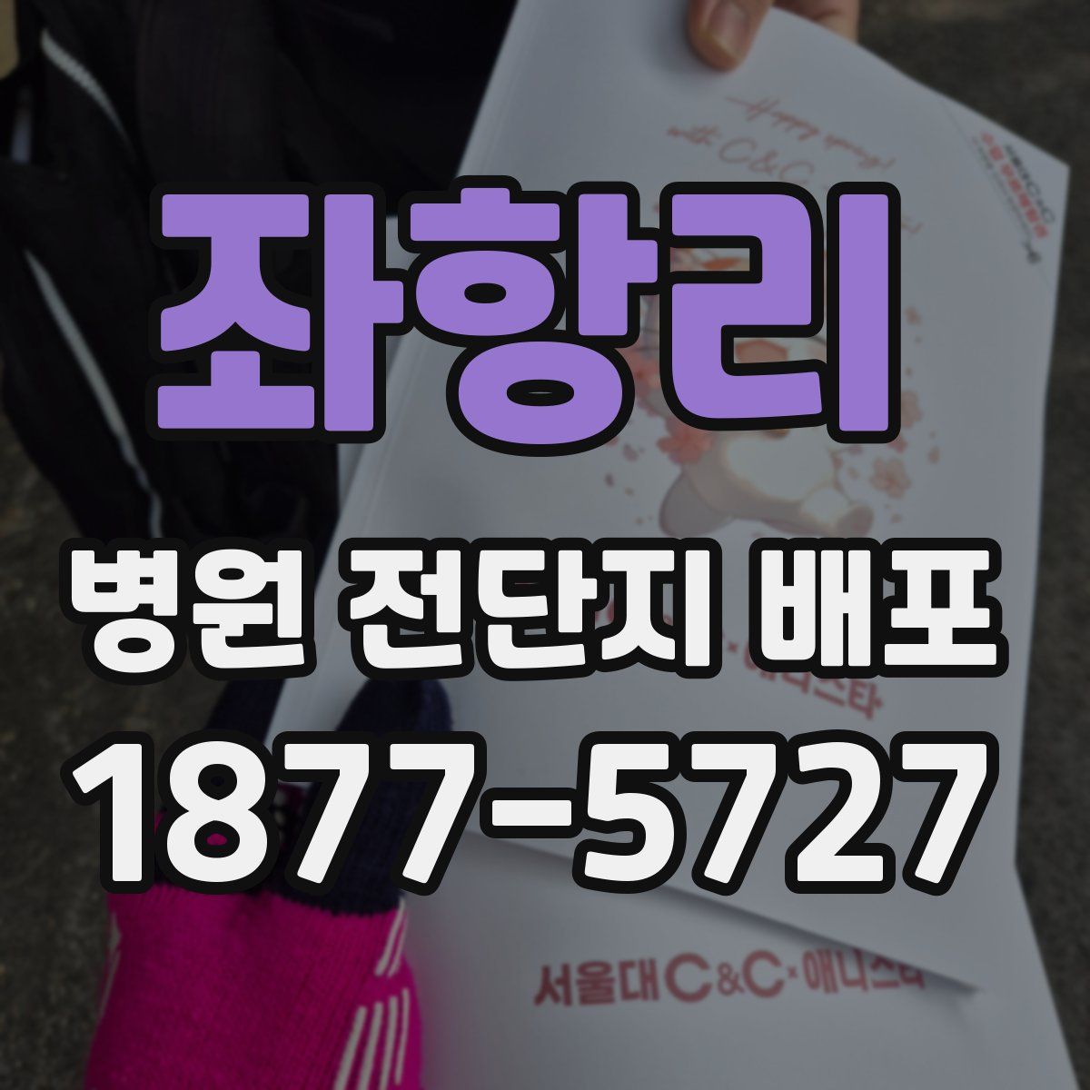 좌항리 병원 전단지 배포