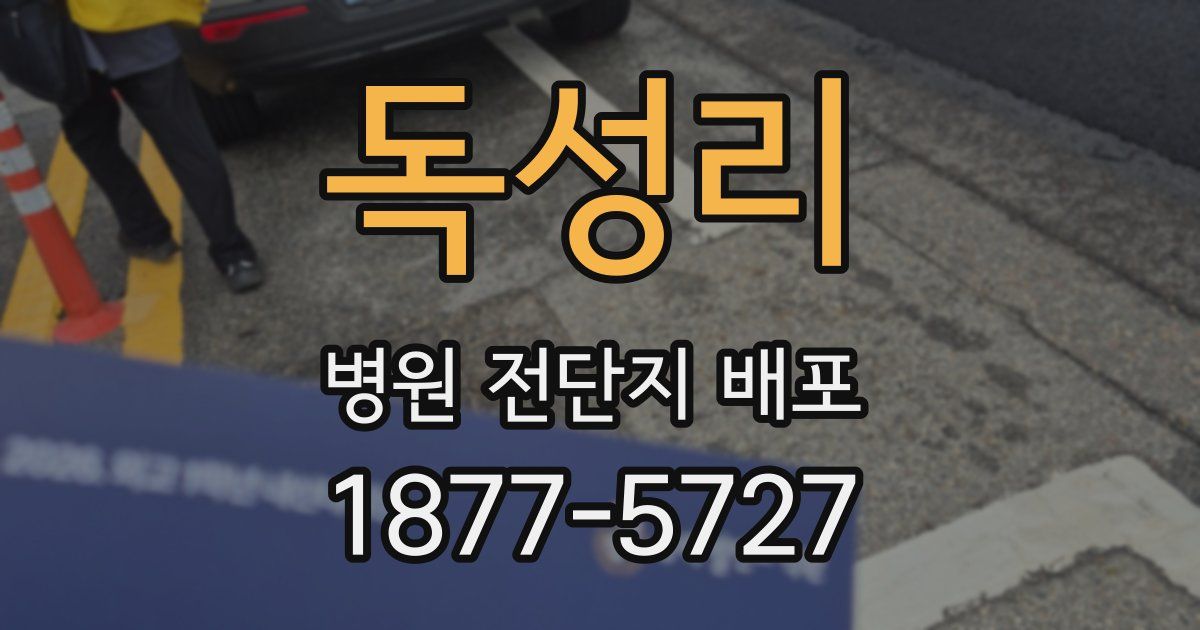 독성리 병원 전단지 배포
