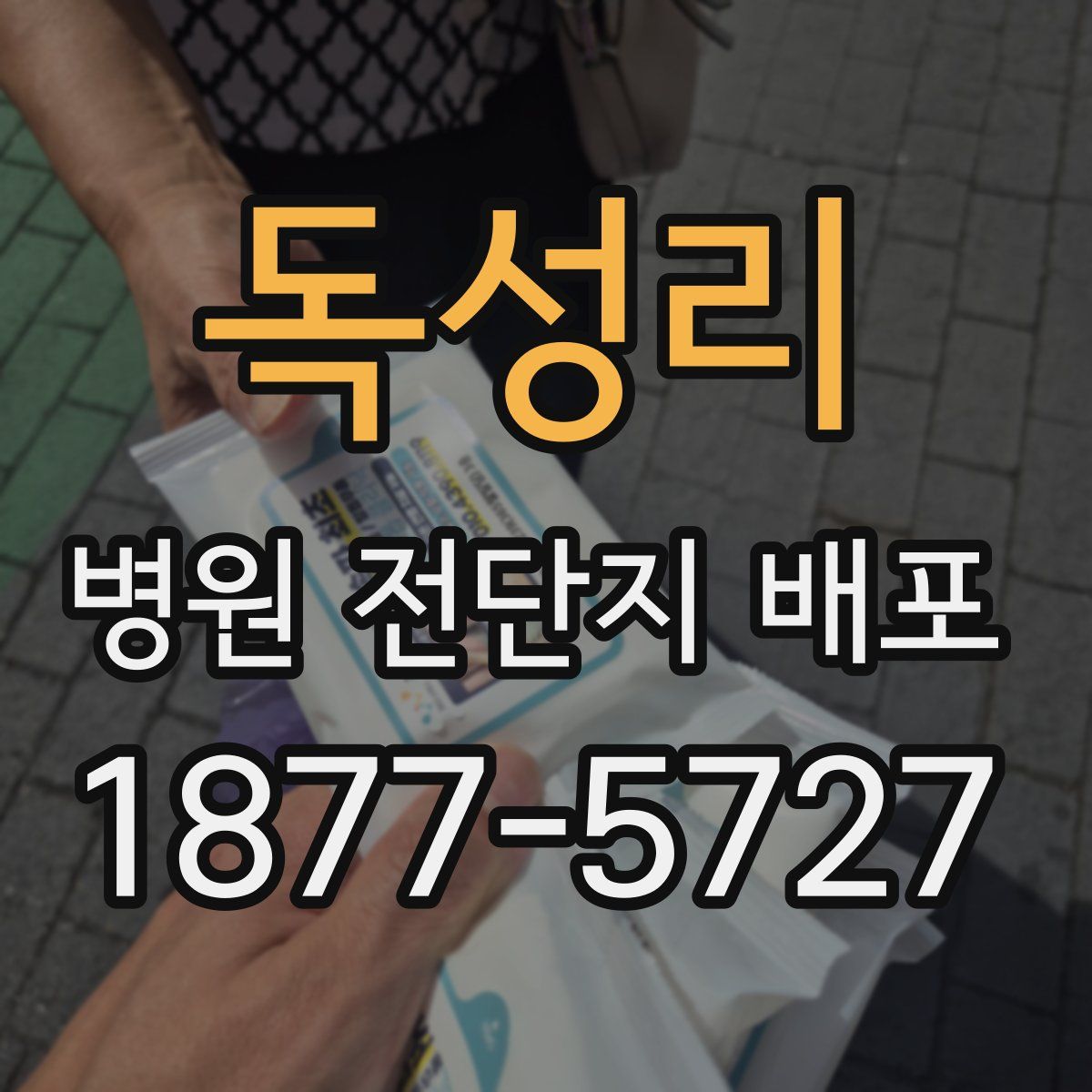 독성리 병원 전단지 배포
