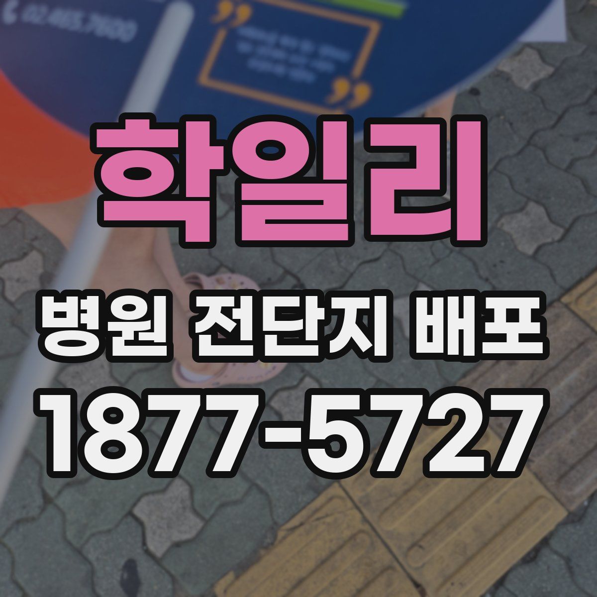 학일리 병원 전단지 배포