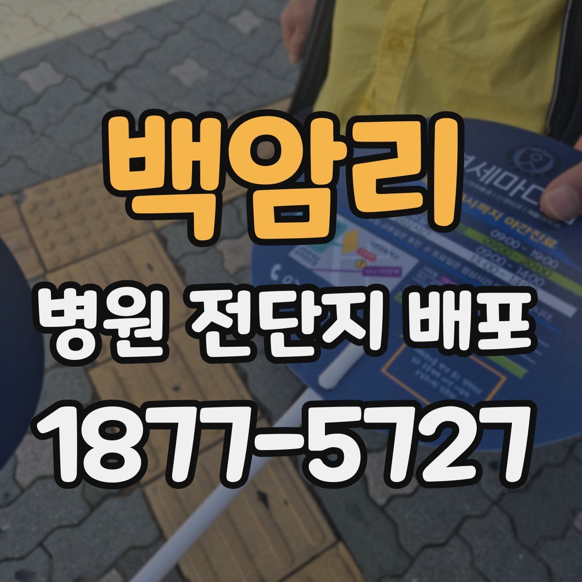 백암리 병원 전단지 배포