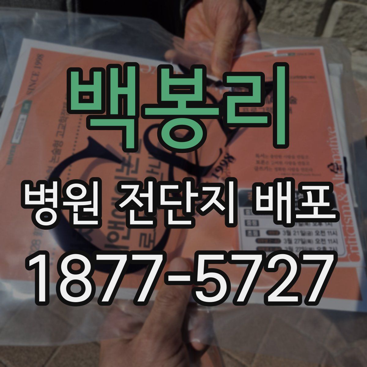 백봉리 병원 전단지 배포