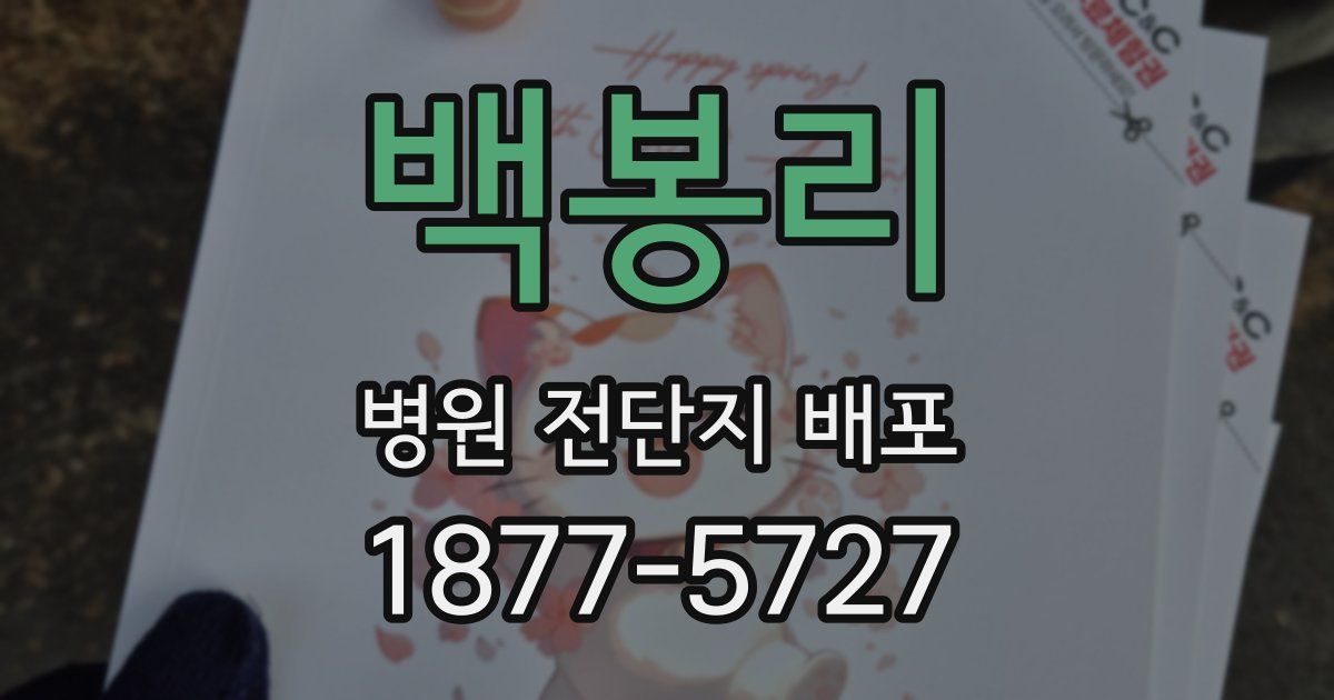 백봉리 병원 전단지 배포