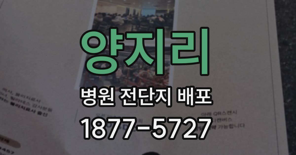 양지리 병원 전단지 배포