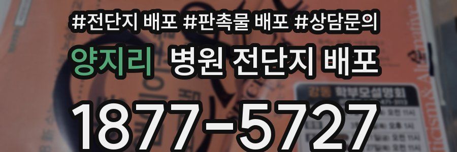 양지리 병원 전단지 배포