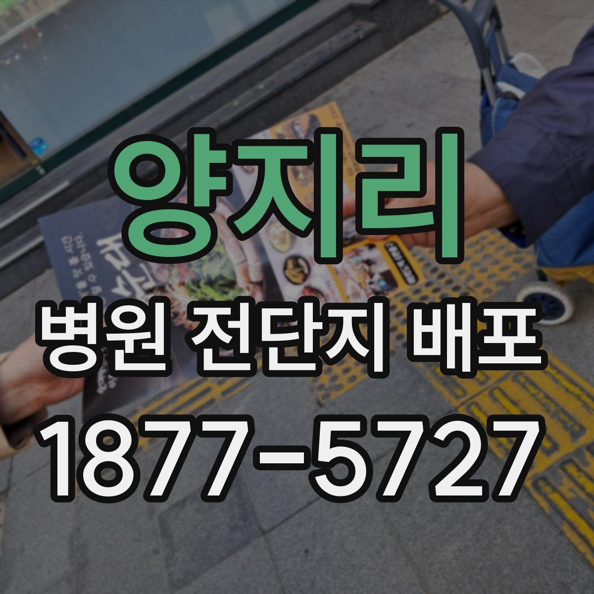 양지리 병원 전단지 배포