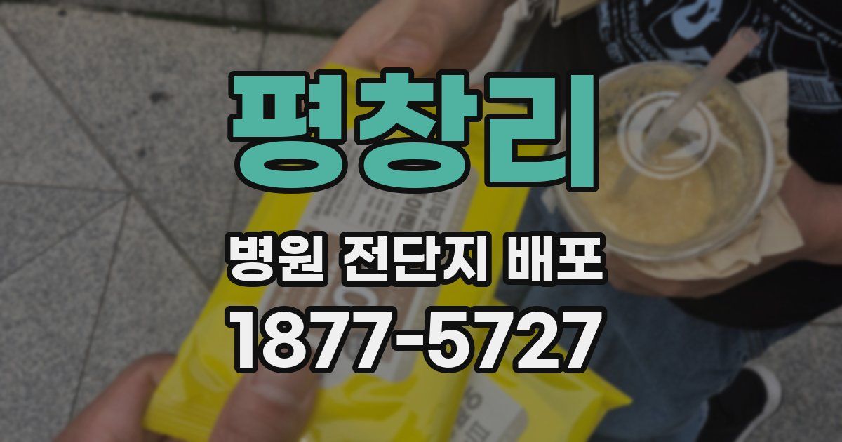 평창리 병원 전단지 배포