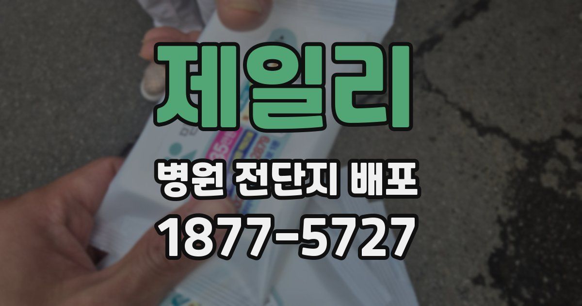 제일리 병원 전단지 배포