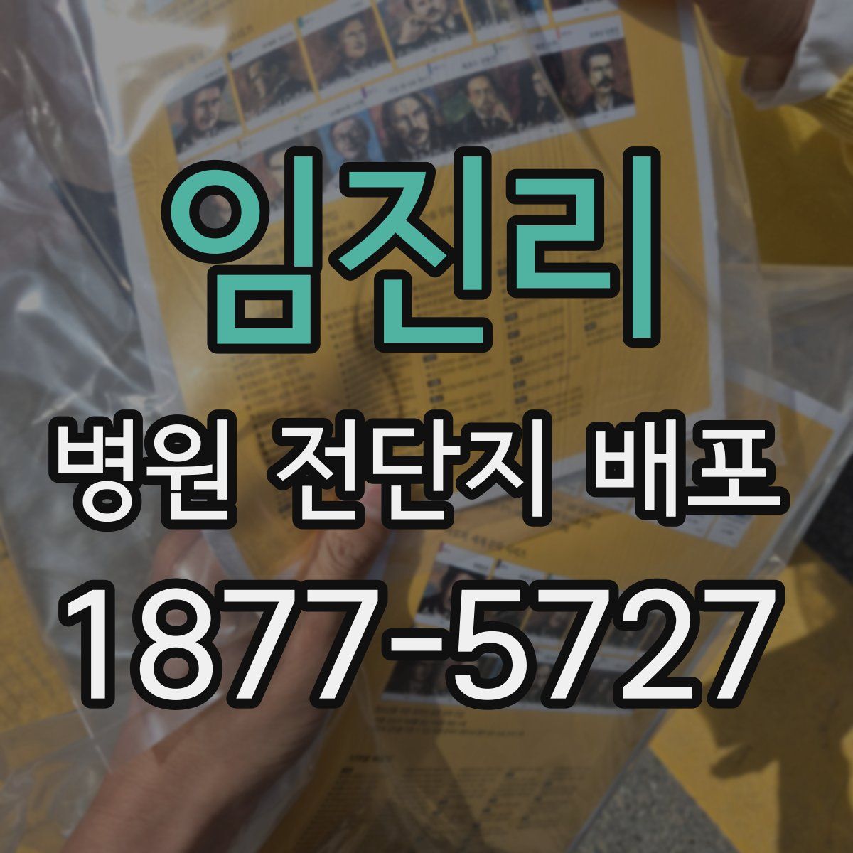 임진리 병원 전단지 배포