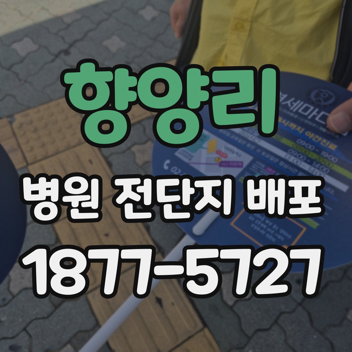 향양리 병원 전단지 배포
