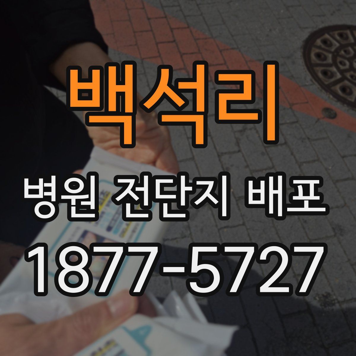 백석리 병원 전단지 배포