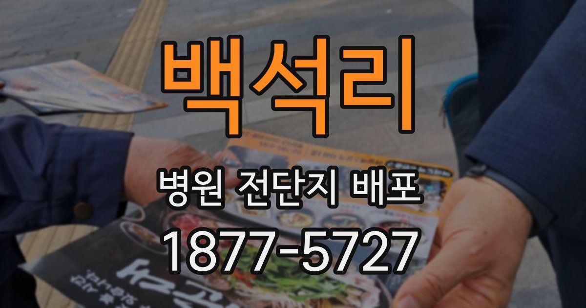백석리 병원 전단지 배포