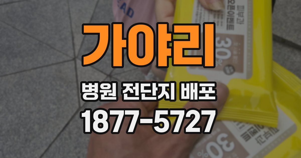 가야리 병원 전단지 배포