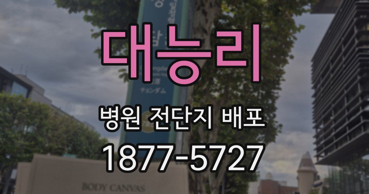 대능리 병원 전단지 배포