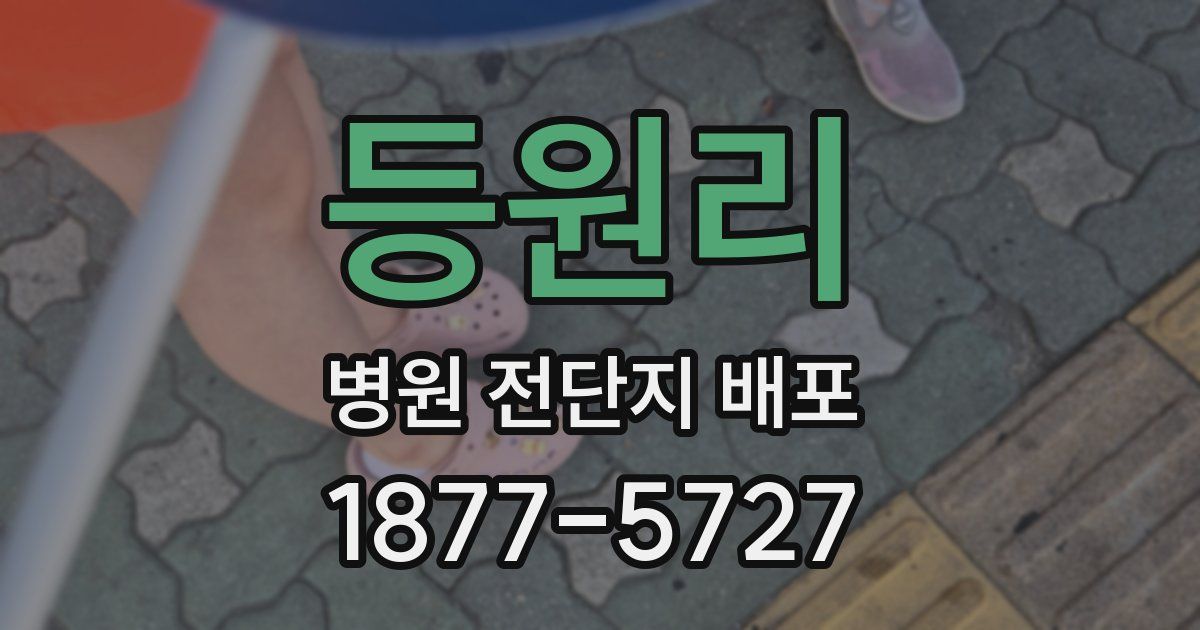 등원리 병원 전단지 배포