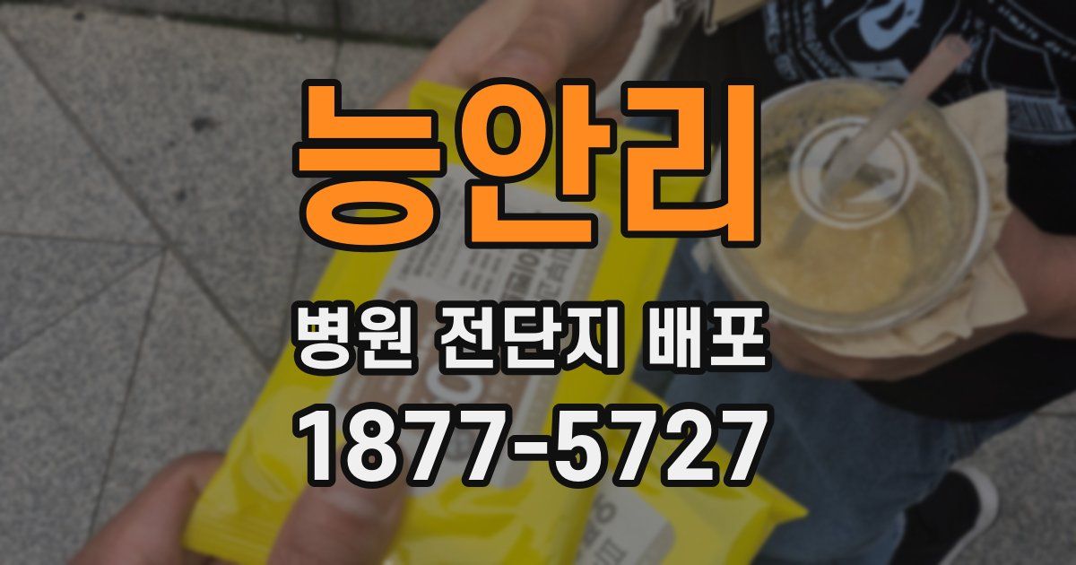 능안리 병원 전단지 배포