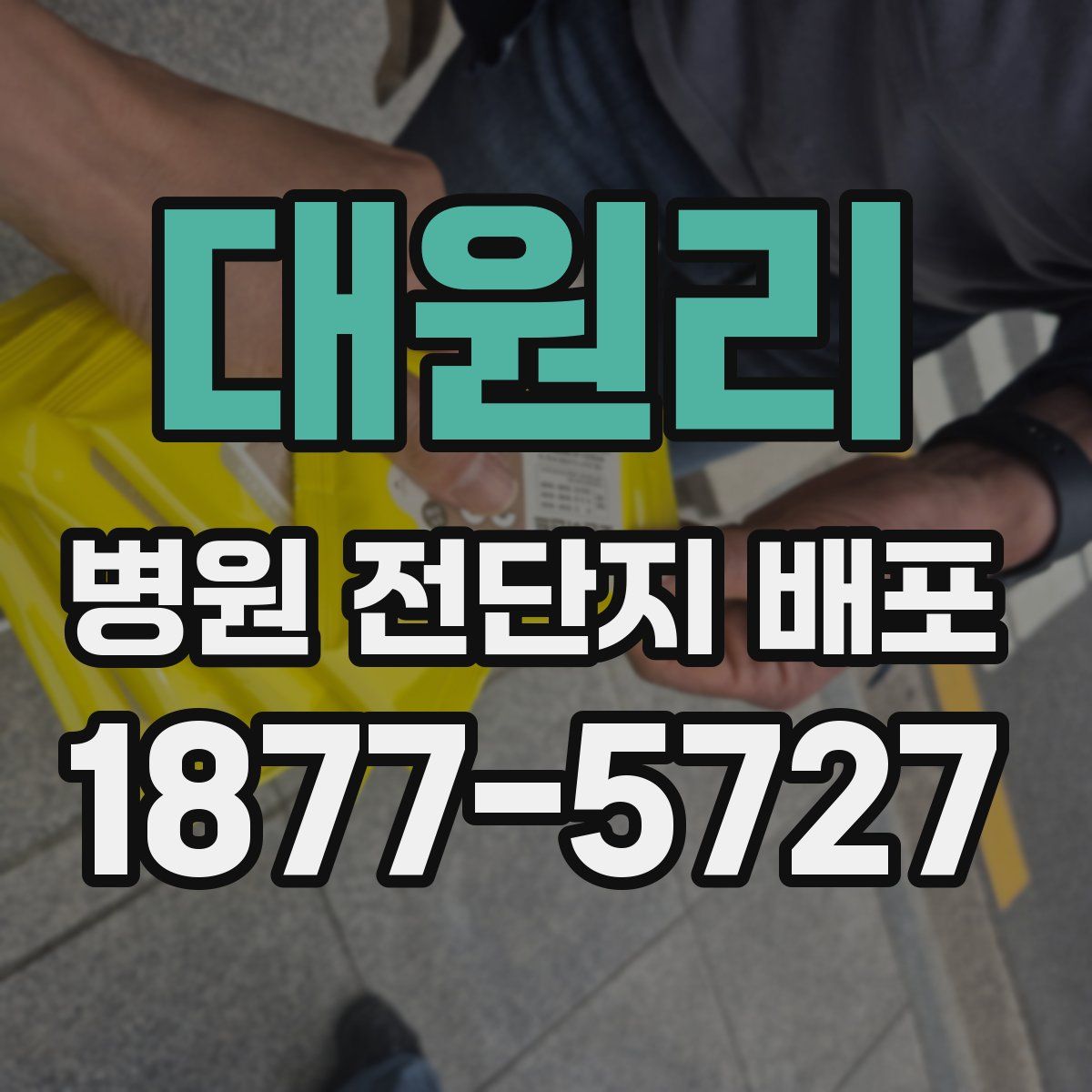 대원리 병원 전단지 배포