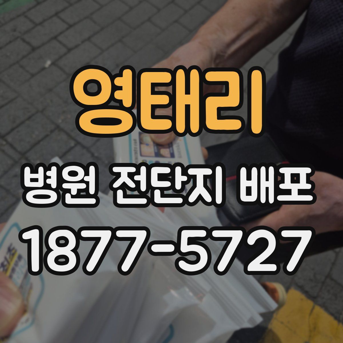 영태리 병원 전단지 배포