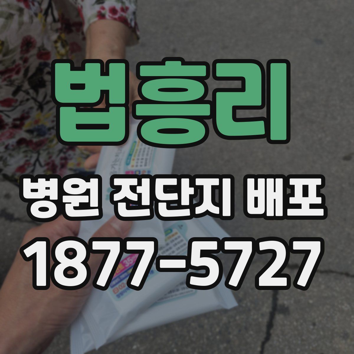 법흥리 병원 전단지 배포
