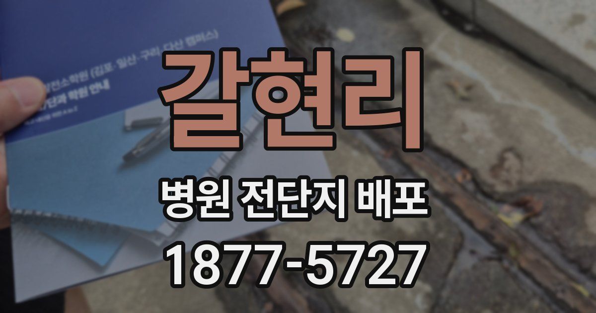 갈현리 병원 전단지 배포