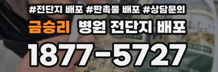 금승리 병원 전단지 배포