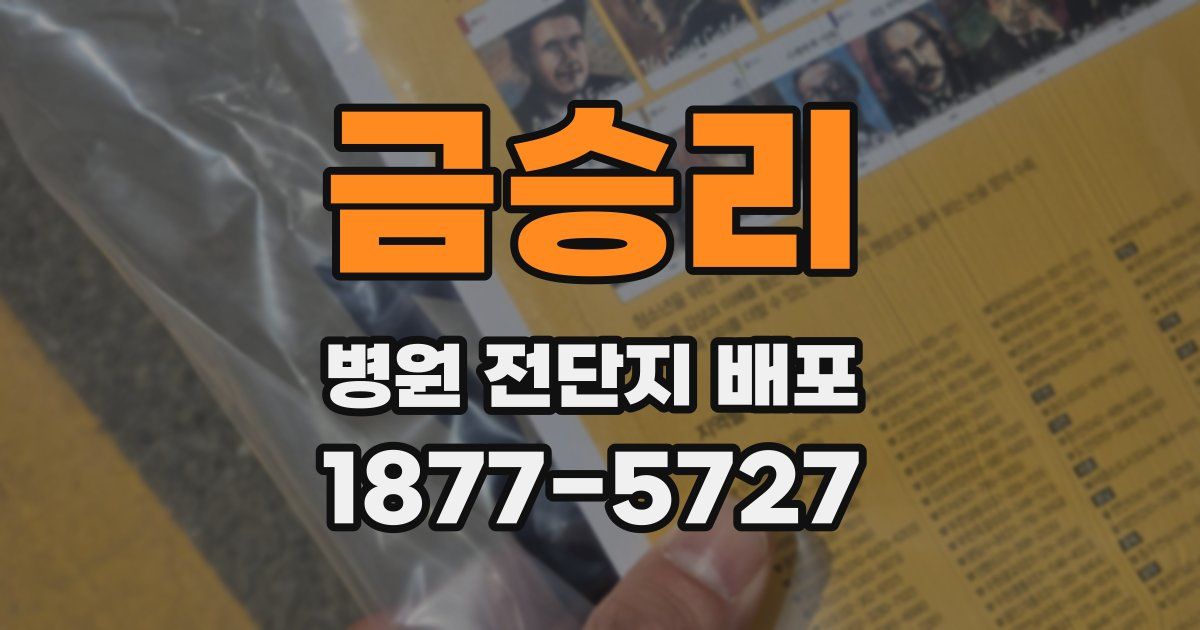 금승리 병원 전단지 배포