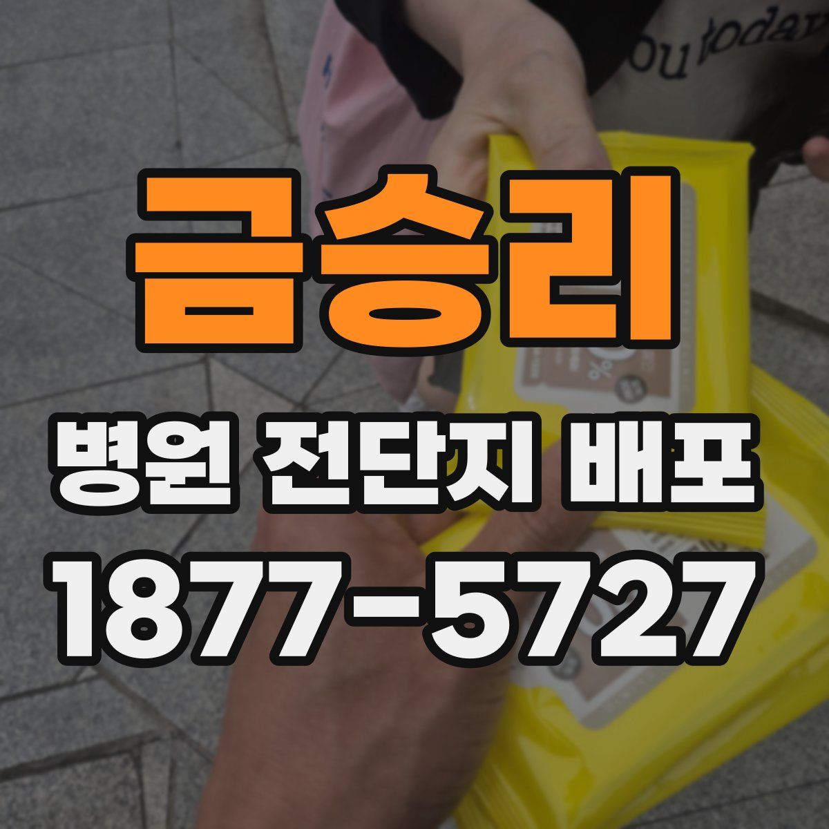 금승리 병원 전단지 배포