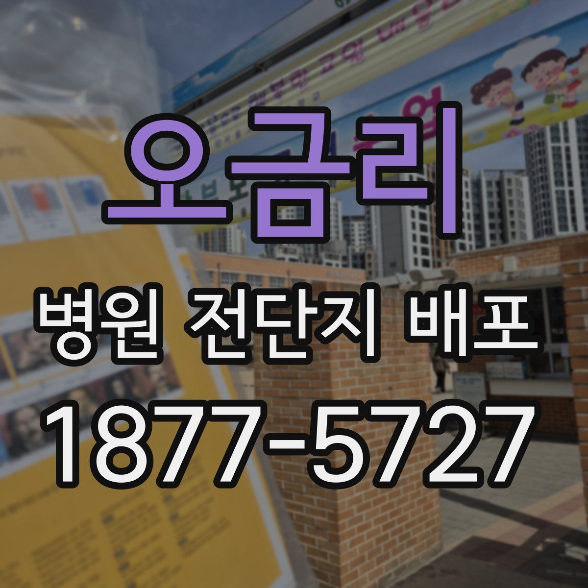 오금리 병원 전단지 배포
