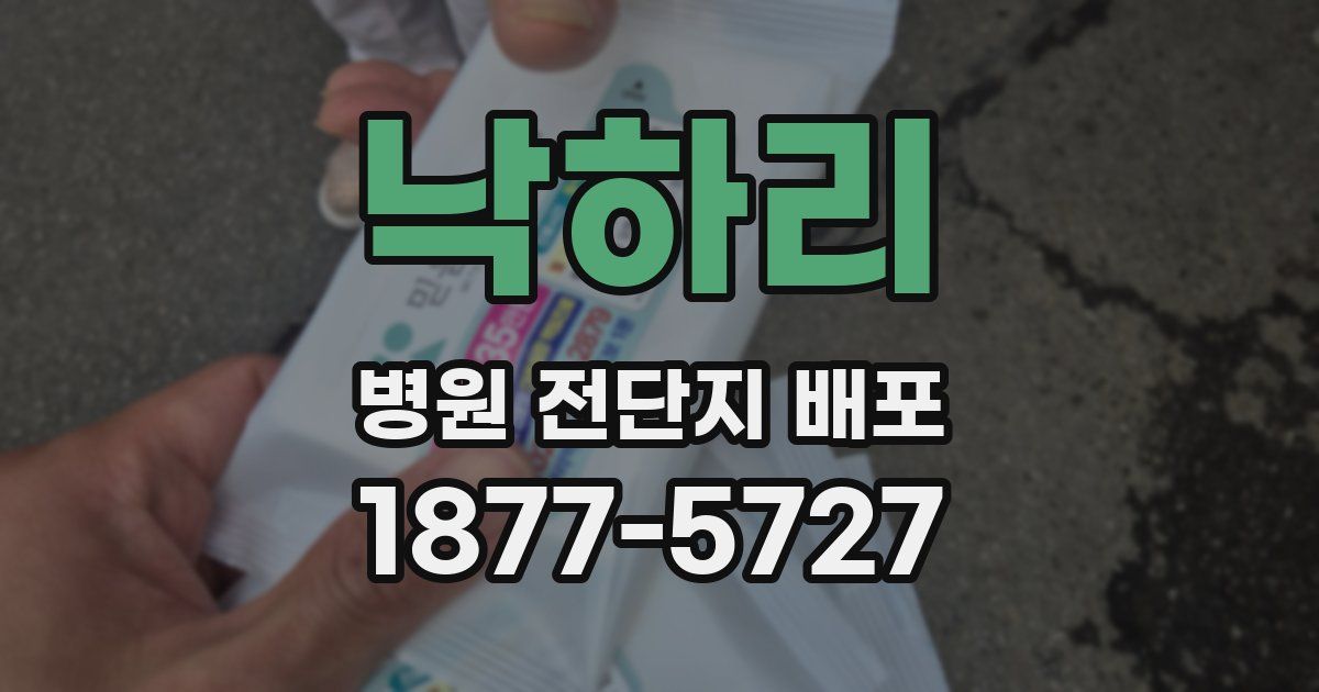 낙하리 병원 전단지 배포