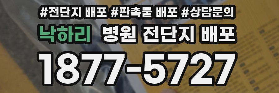 낙하리 병원 전단지 배포