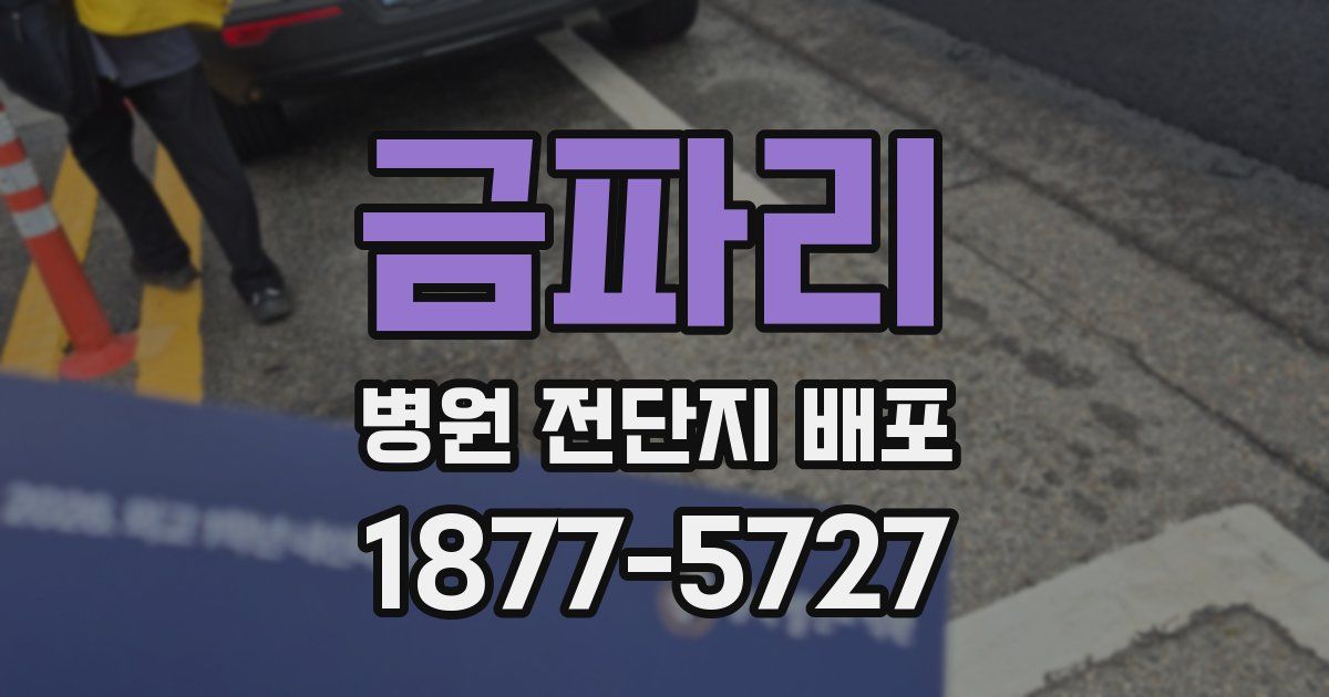 금파리 병원 전단지 배포