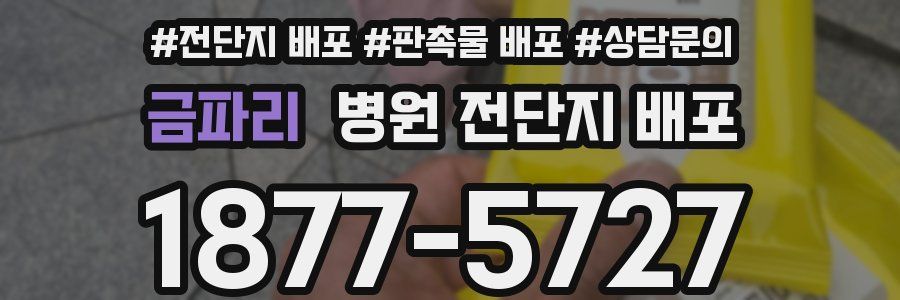 금파리 병원 전단지 배포