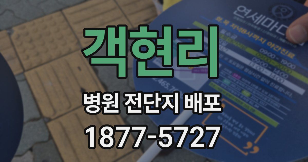 객현리 병원 전단지 배포