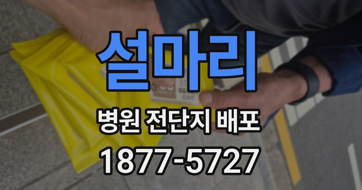 설마리 병원 전단지 배포