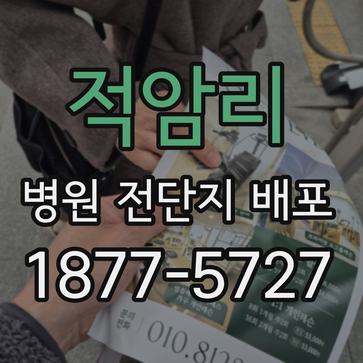 적암리 병원 전단지 배포