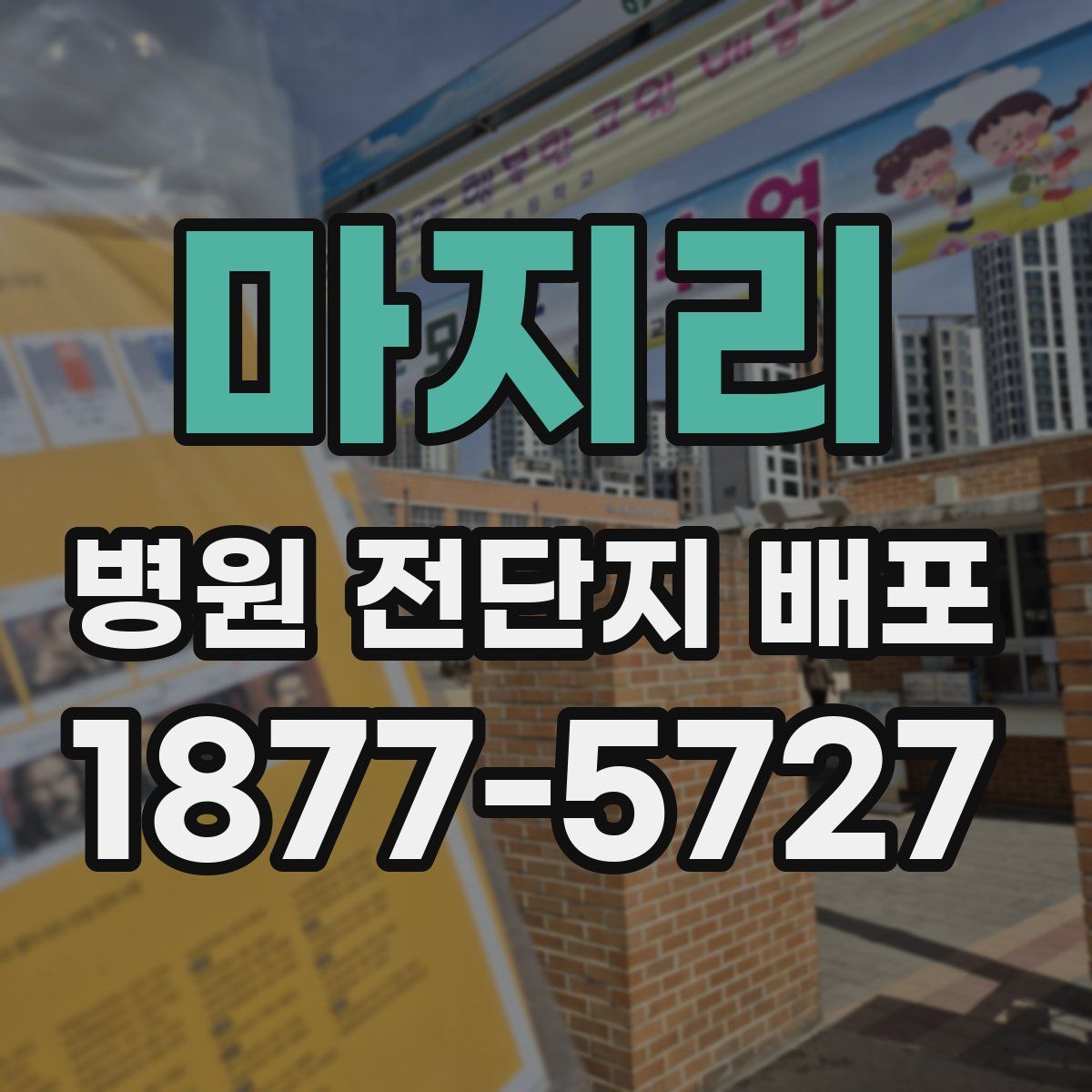 마지리 병원 전단지 배포