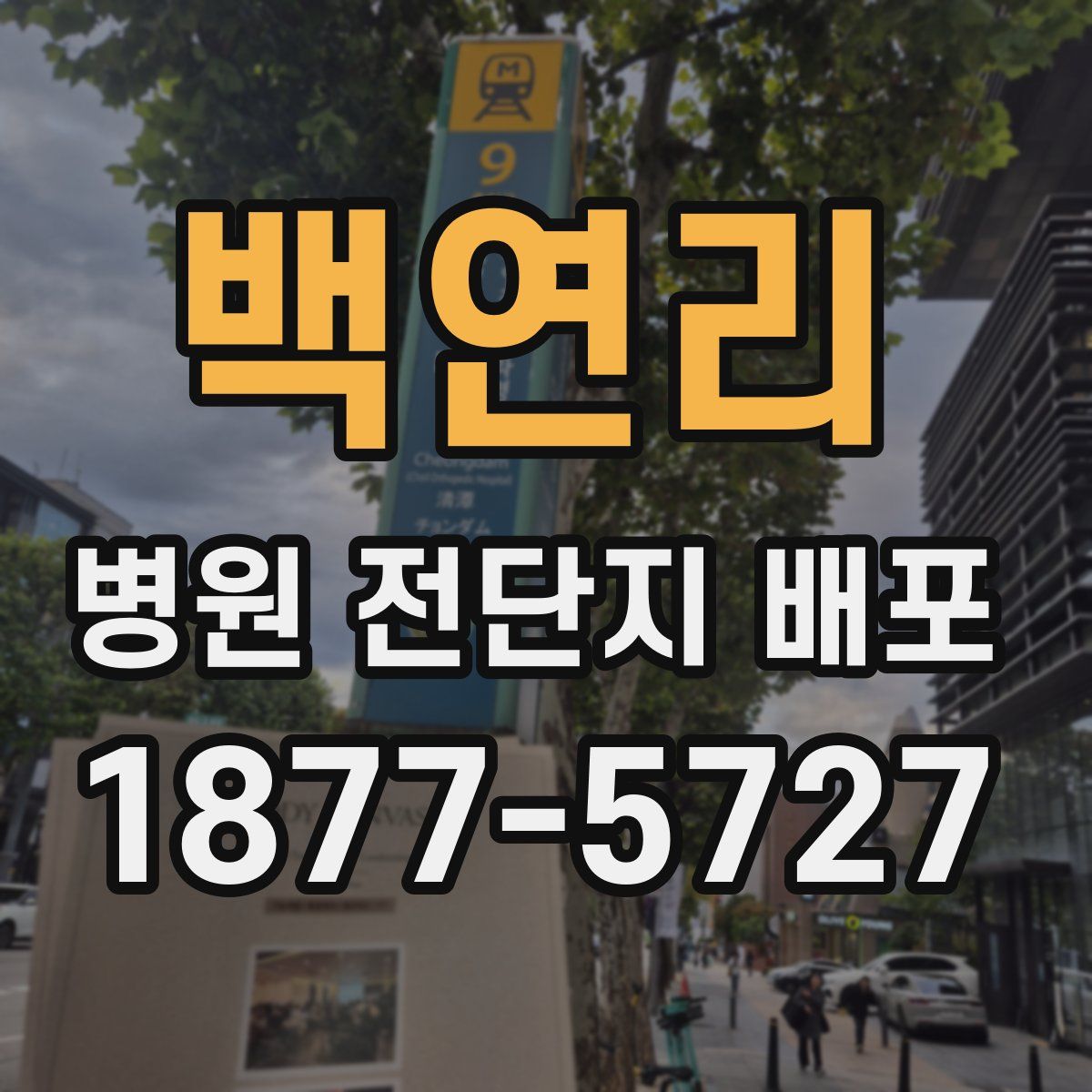 백연리 병원 전단지 배포