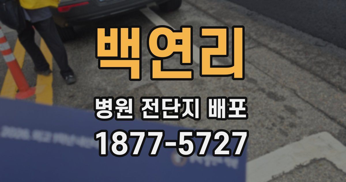 백연리 병원 전단지 배포