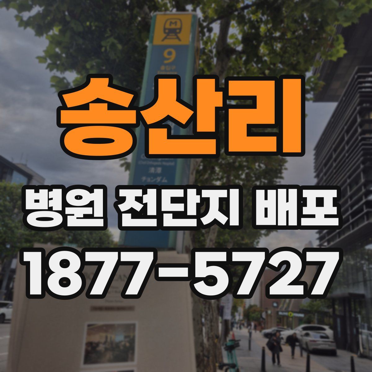 송산리 병원 전단지 배포