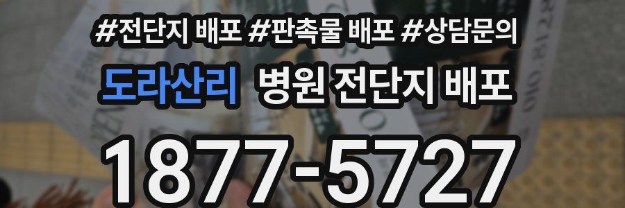 도라산리 병원 전단지 배포