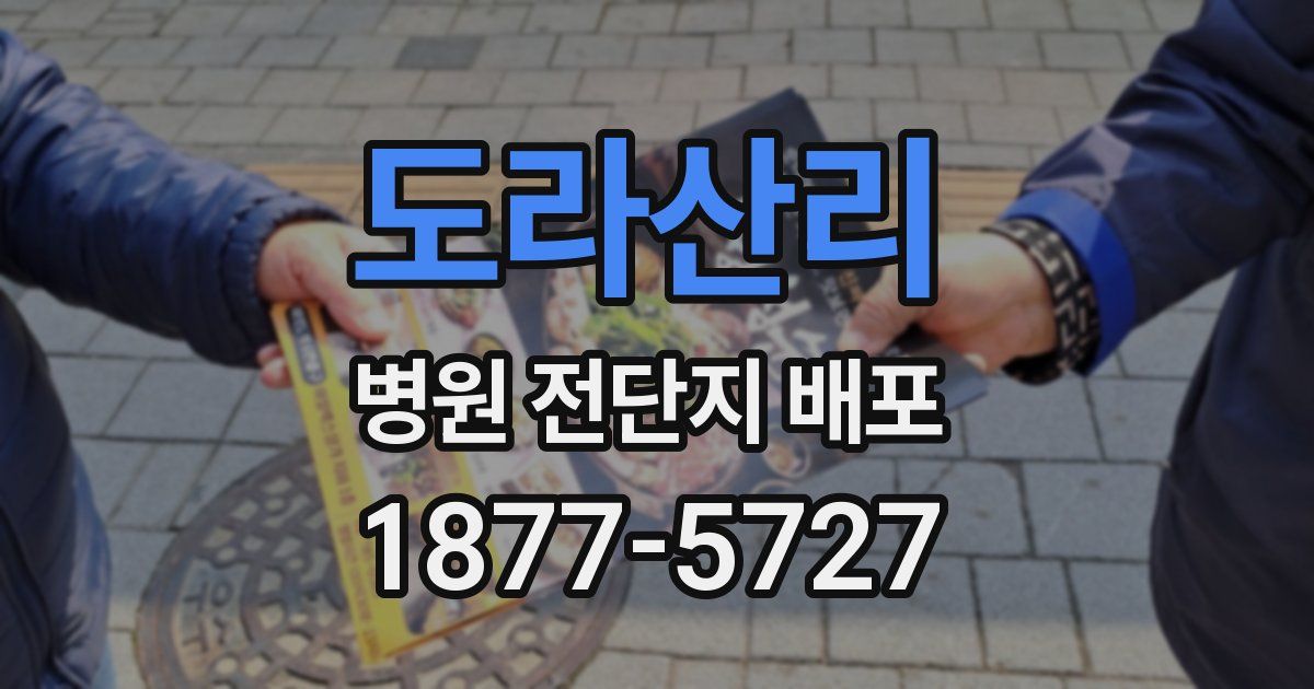 도라산리 병원 전단지 배포