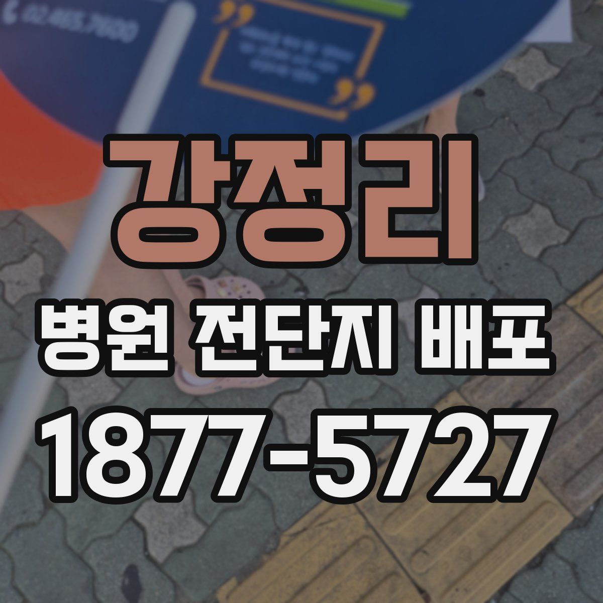 강정리 병원 전단지 배포